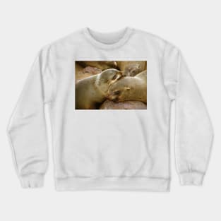 'Cuddling Cousins' - Cape Fur Seals Crewneck Sweatshirt